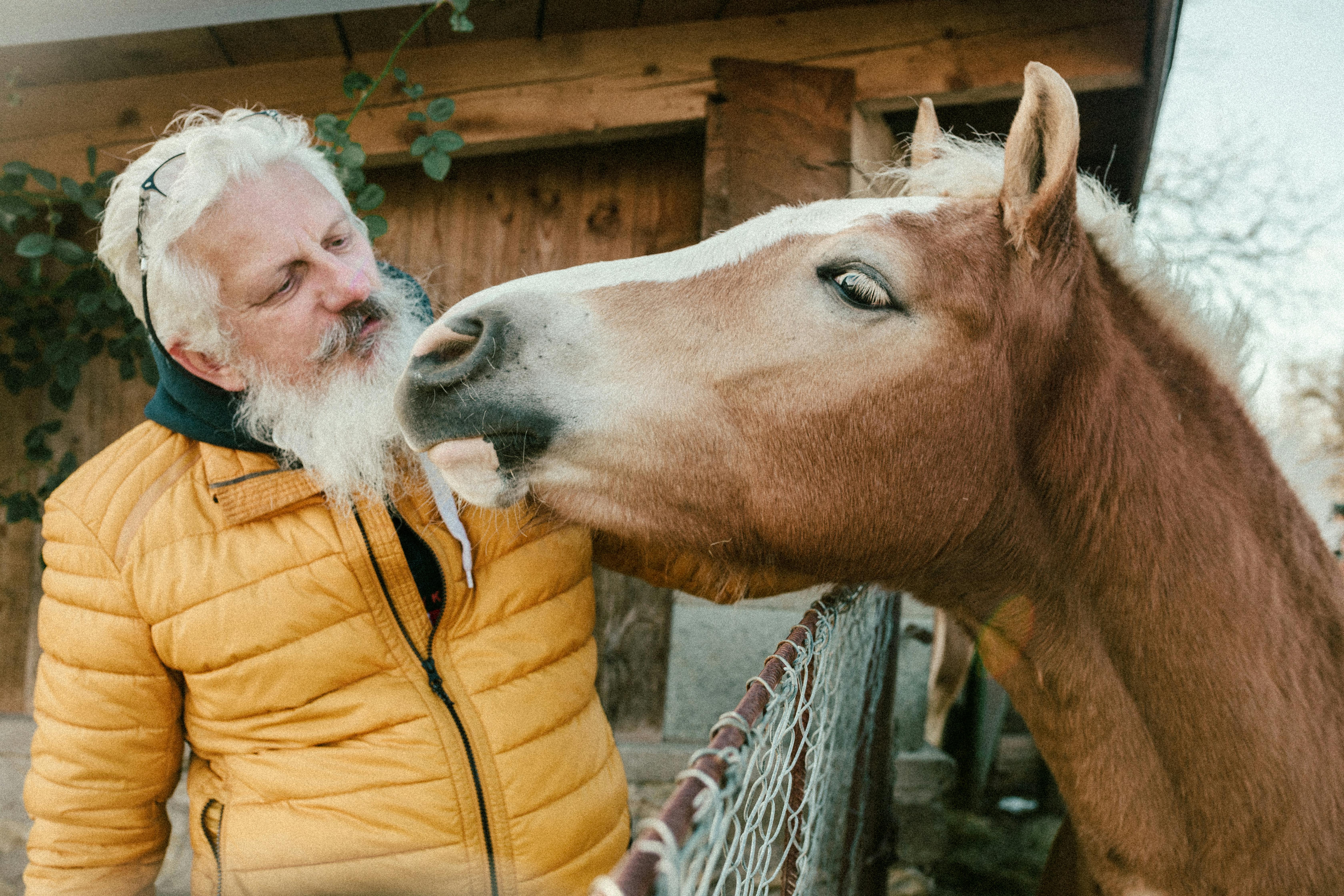 Mann mit Pferd — innige Verbindung